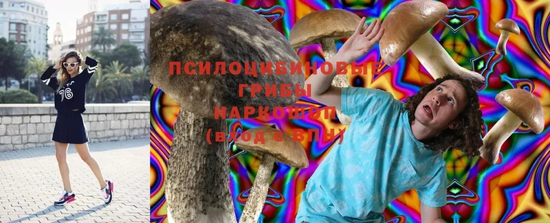 Галлюциногенные грибы MAGIC MUSHROOMS  купить  цена  Елец 